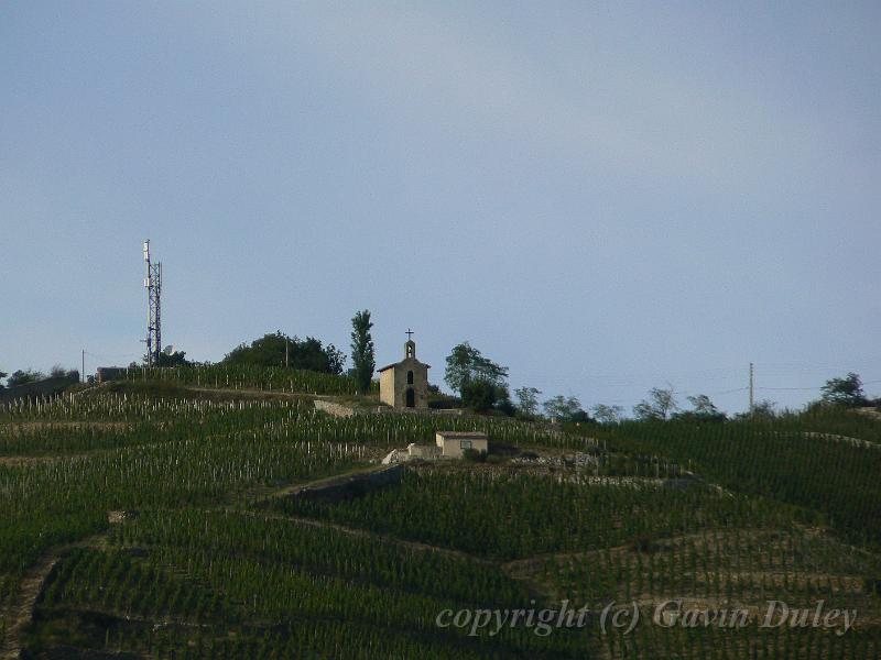 Hermitage vineyards from Tournon-sur-Rhône P1130972.JPG